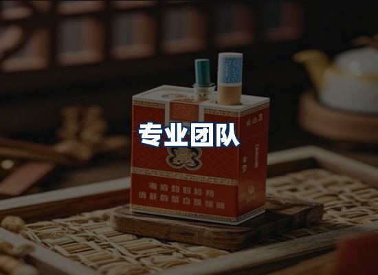 专业团队
